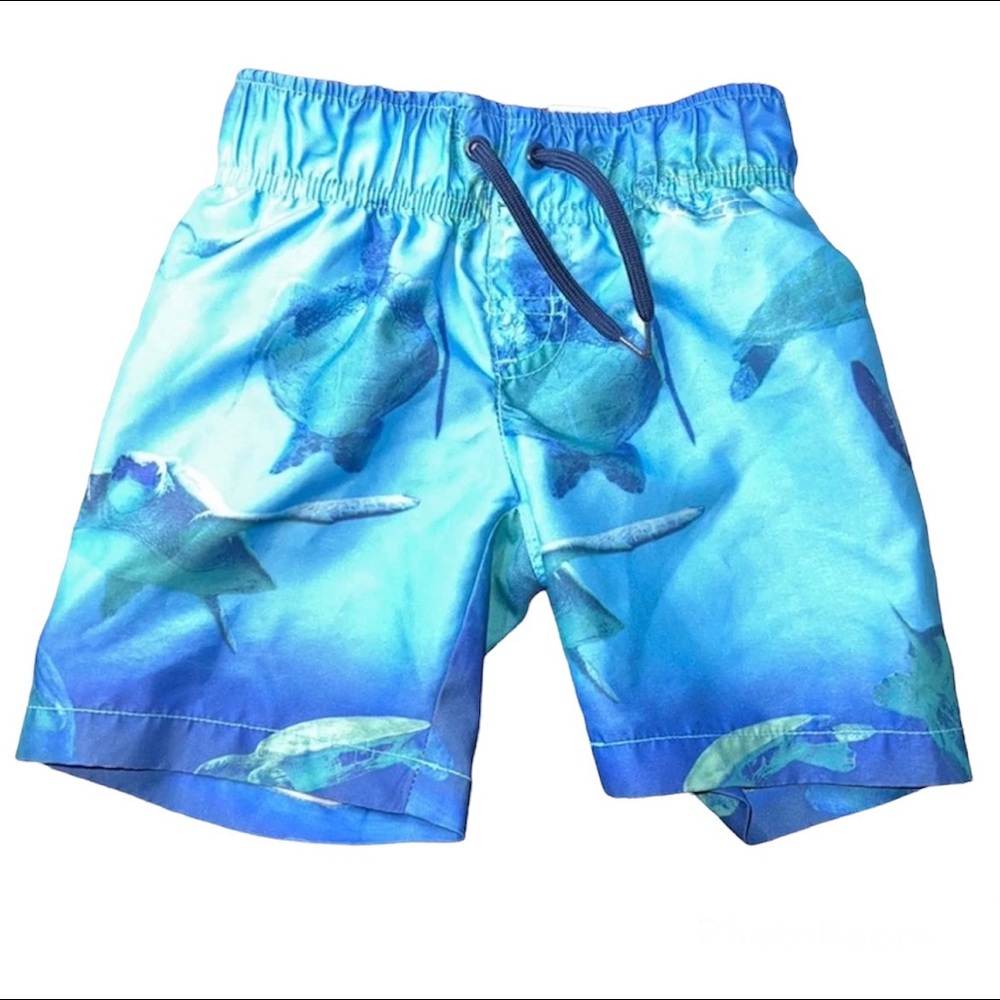 Crazy 8 Swim Trunks